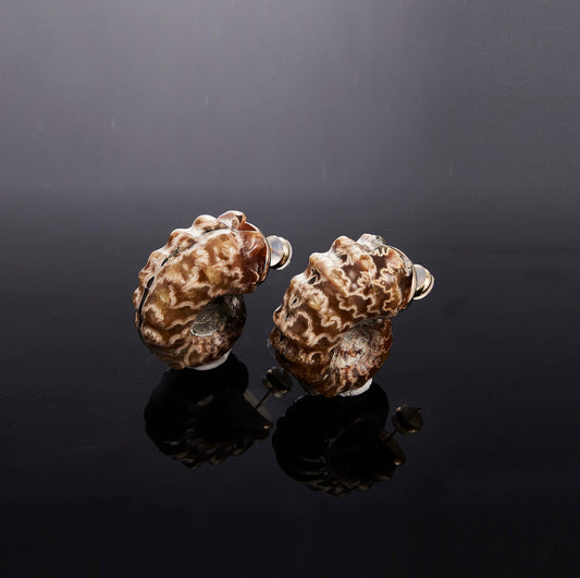 Helix Fossil